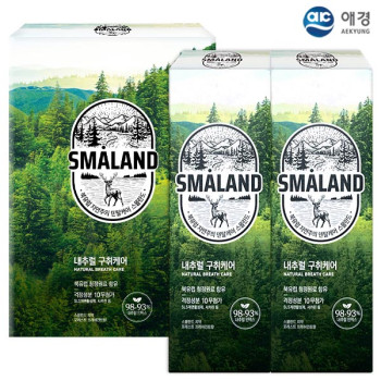 (종이케이스)애경 2080스몰란드프레쉬민트치약100g 2P