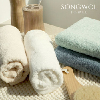 송월) 라이트 매직무지