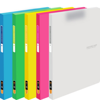 투명칼라칩 레바화일