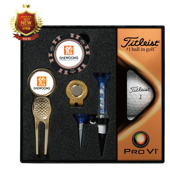 타이틀리스트 Pro V1 골프볼+칩볼마커+그린보수기볼마커(골드)+자석티 세트