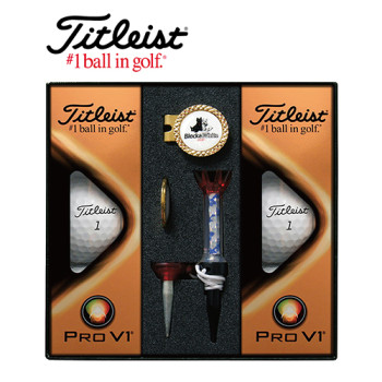 타이틀리스트 Pro V1 골프볼 6구+볼마커(골드)+자석티 세트