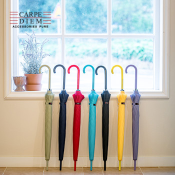 카르페디엠 3HHS012 장우산