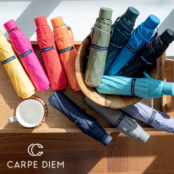 카르페디엠 3HHS003 3단수동우산