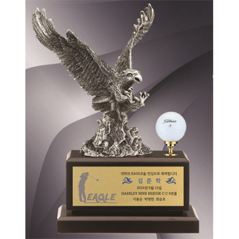 주석 트로피-MJ80-1