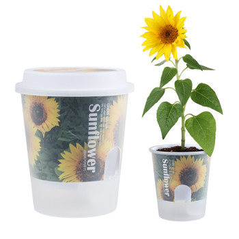 그로우톡톡 저면관수 미니화분-해바라기(인쇄상품)