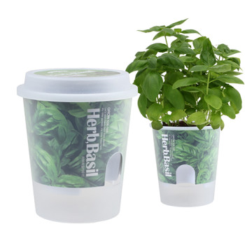 그로우톡톡 저면관수 미니화분-허브바질(인쇄상품)