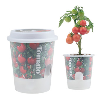 그로우톡톡 저면관수 미니화분-방울토마토(인쇄상품)