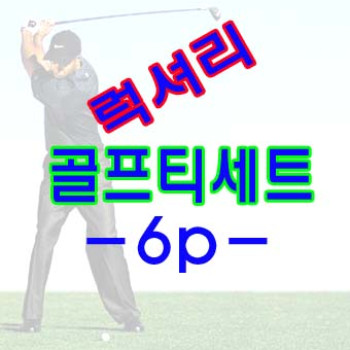 럭셔리 골프티세트/골프티/볼마커/타수기