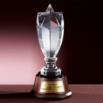 6)31-2 크리스탈트로피